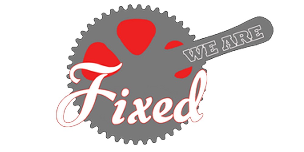 We are fixed